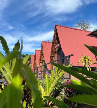 Estrella verde Lodge