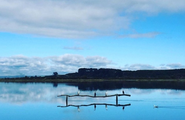 EUNOIA overlooking the Estuary - Pukehina Beach , SPA available