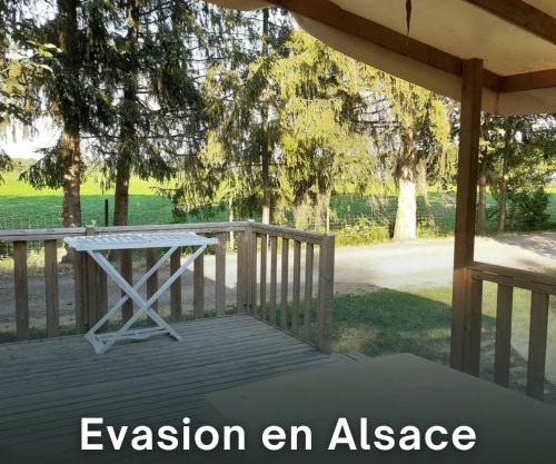 Evasion au cœur de l'Alsace - Bungalow familial pour 5