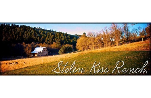 Exclusive,Prisitne, Close to Deadwwod,Sturgis,Spearfish,20 acres, Pets Welcome.