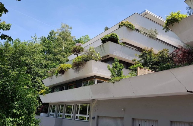 Experience very central Zug in a quiet place
