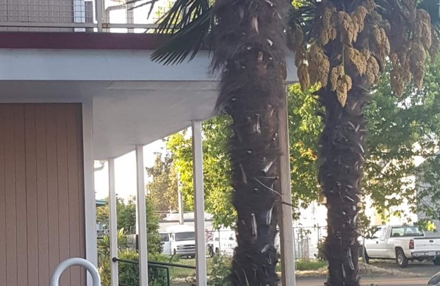 Express Inn & Suites