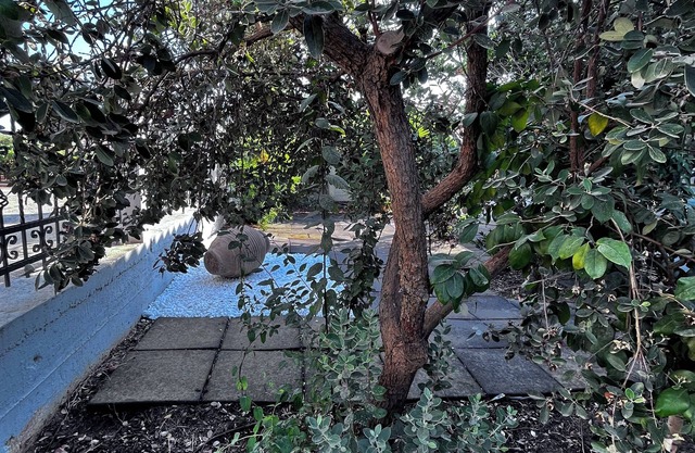 Fabulous 2-bedroom house in Portaria not far from beautiful beaches!