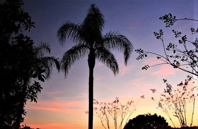 Fabulous Condo with Lake View 1.5 Miles from Disney