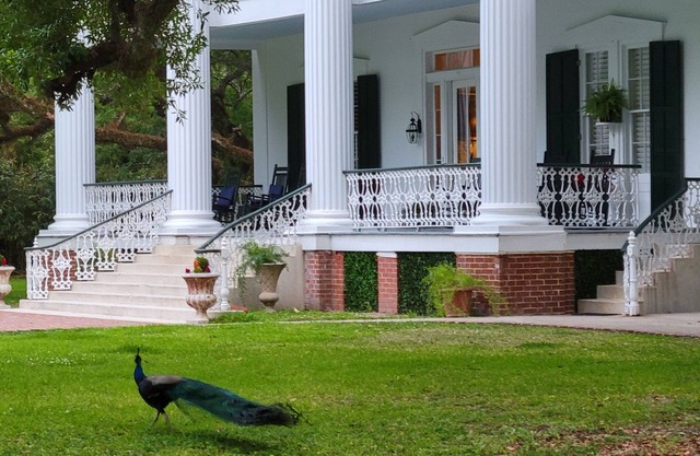 Fairfax Bed and Breakfast