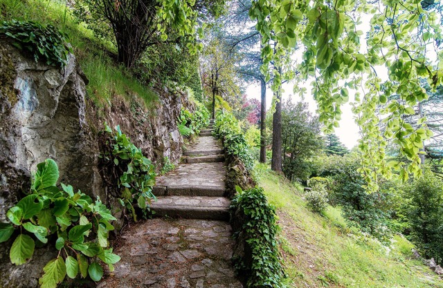 Fairy Tale - I Tigli