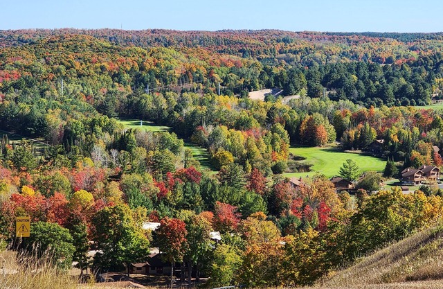 Fall colors galore! 2 bedroom, 2 bath condo at Cedar River!