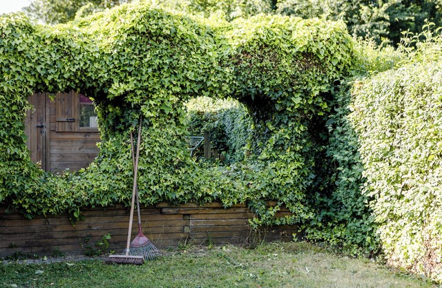 Familie bungalow op vakantiepark bij zee