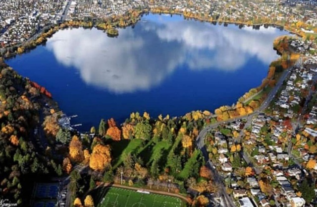 Family 3BR Walk to Greenlake Games Patio BBQ DogOK