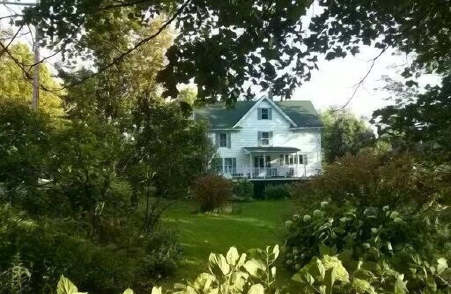 family and pet friendly