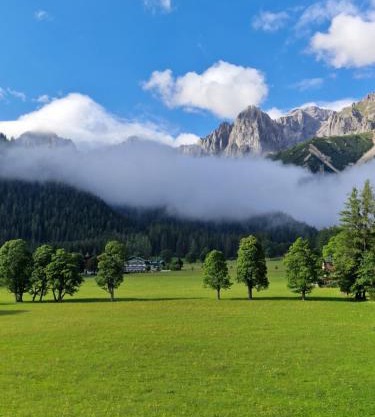 Family Appartment - Dachstein View