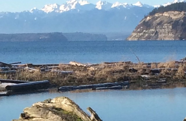 Family Beach Cabin on Sunlight Beach Useless Bay, Whidbey Island
