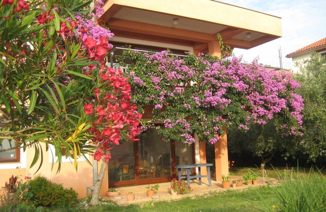 Family-friendly apartment in old fishermen village close to Zadar