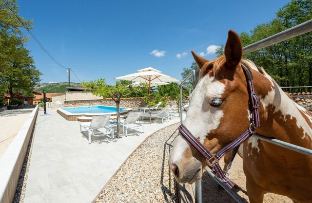 Family friendly house with a swimming pool Maovice, Zagora (K-24726)
