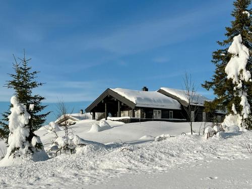 Family-Friendly Log Cabin With Panoramic View