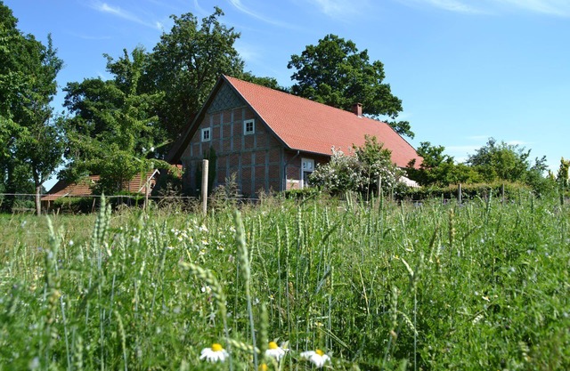 family friendly, pets allowed, spacious garden, solid wood furniture