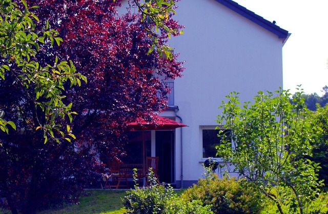 Family-friendly vacation home on the Olef in Gemünd in the Eifel National Park
