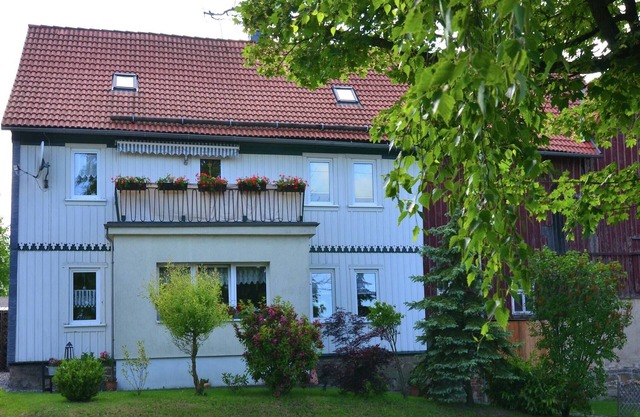 Family Fun in Hüttenrode Hills