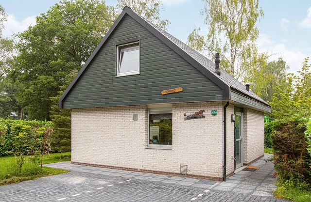 Family fun is guaranteed during this vacation ? spend relaxing vacations in Noordwolde.