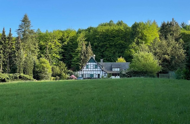 Family group holiday home in a secluded location with its own forest and lake with jetty
