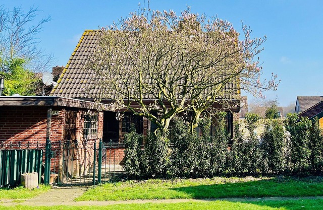 Family home near lake, beach and dunes
