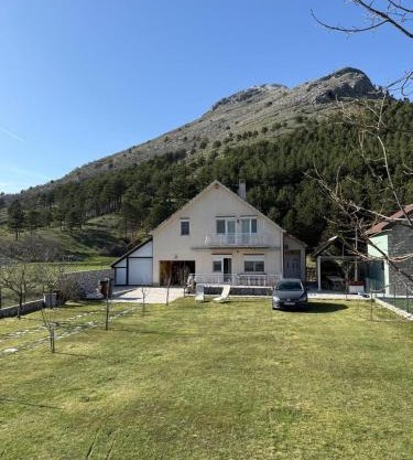 Family house on the mountain - Krstac, Njegusi