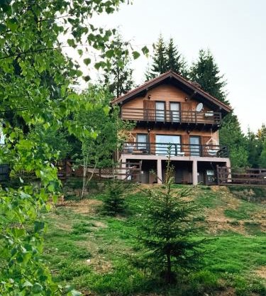 Family Nest Baisoara perfect for families