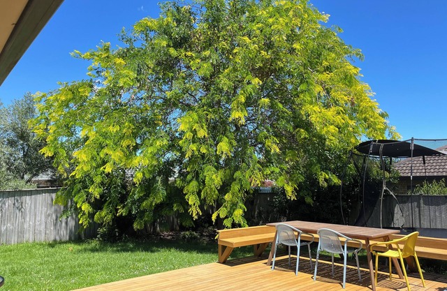 Family Retreat w/Playground Views in East Tamaki