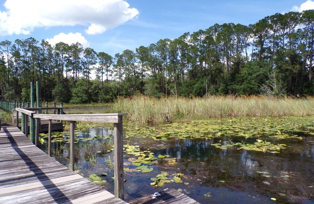 Family-sized lakehouse w/dock and water access. Close to Gainesville!