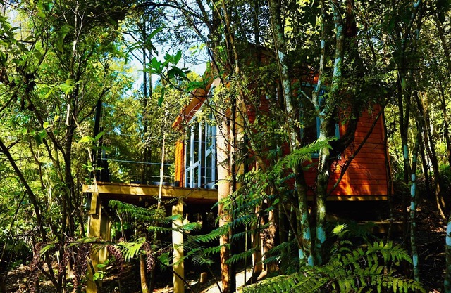 Fantail Bush Chalet, bush and golf on your doorstep!