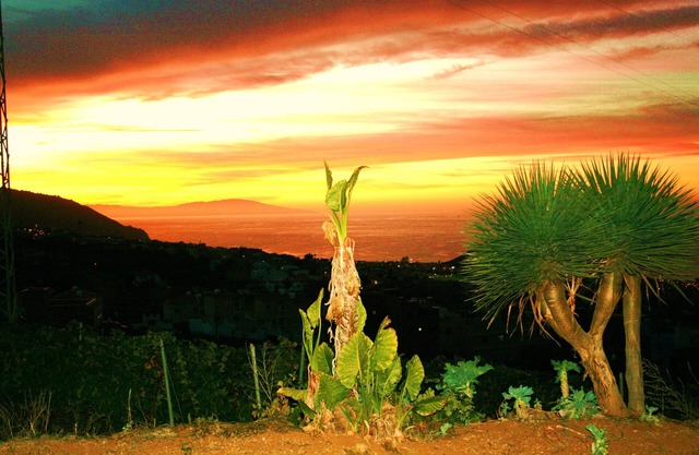 Fantastic Canarian House surrounded by vineyards - Free WiFi