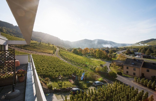 Fantastic Mosel view from the apartment "Pinot Noir Cabinet", near Cochem