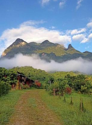 Far Far Away Homestay Chiangdao