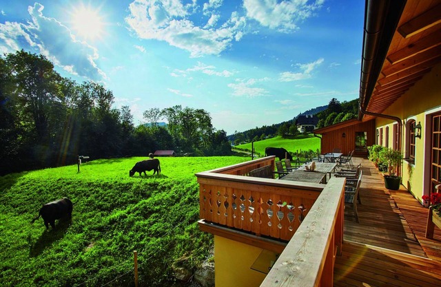 Farm above the roofs of the festival city of Salzburg