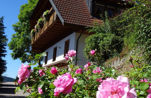 Farm animals in the Black Forest, 4 star wellness Non smoking apartment