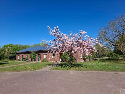 Farm-Chalets Apartment Park