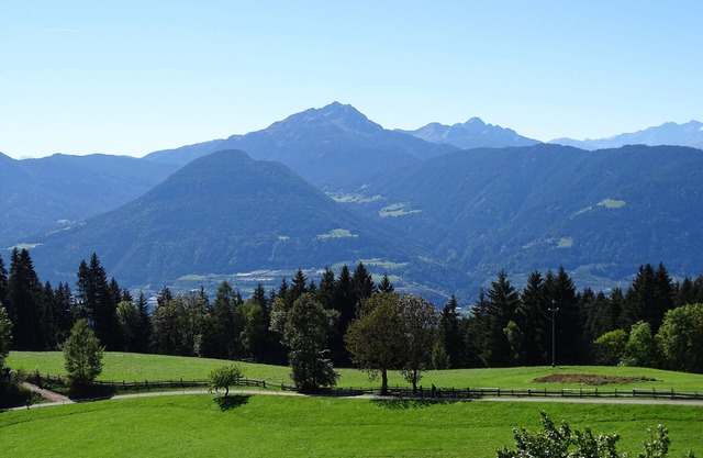 Farm holidays amidst green meadows and forests!