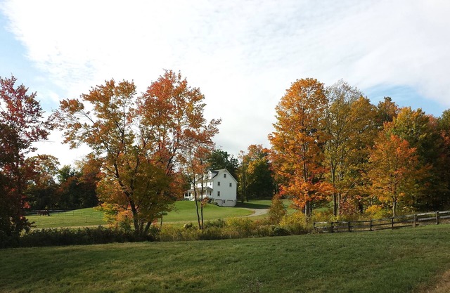 Farm House Getaway on 200 acre horse farm!