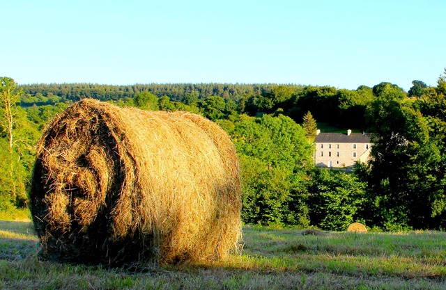 Farmhouse Le Pont D'Albart in beautiful countryside near uncrowded beaches