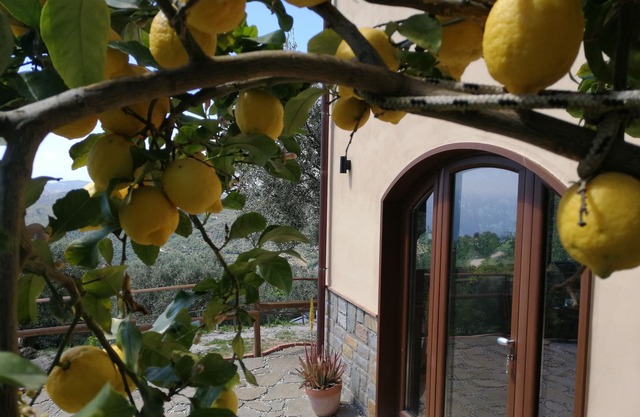 Farmhouse Agriculture Rascio