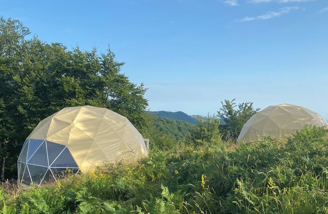 Farmhouse and two glamping dome homes in the Povlen Nature Park in western Serbia