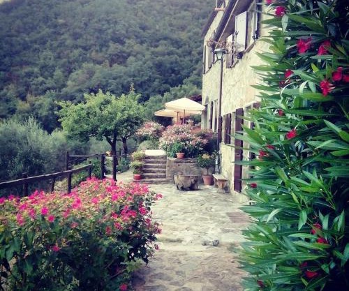 Farmhouse B&B Castagnola 64