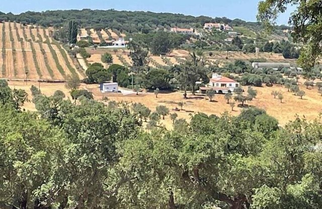 Farmhouse in Montemor-o-Novo with Swimming Pool