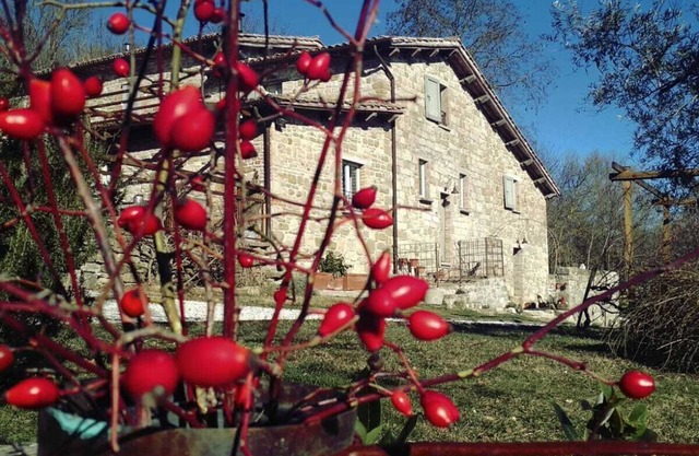 FARMHOUSE MONTESALCE-BLUE APARTMENT