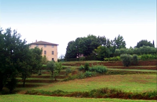 Farmhouse Villa outside the walls of Lucca