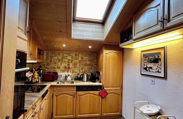 Fascinating Swiss Alps View Luxury Apartment