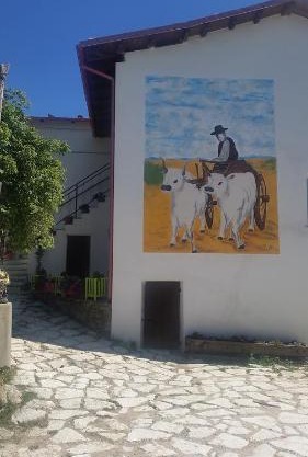 Fattoria la Cona