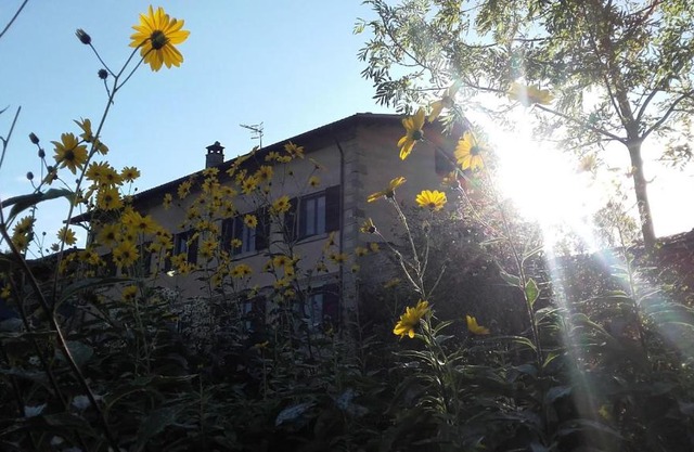 Fattoria La Guedrara