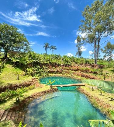 Fazenda Brotas SP