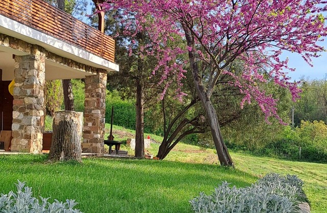 FelicitanVila in nature suitable for accommodation during the EXIT festival!